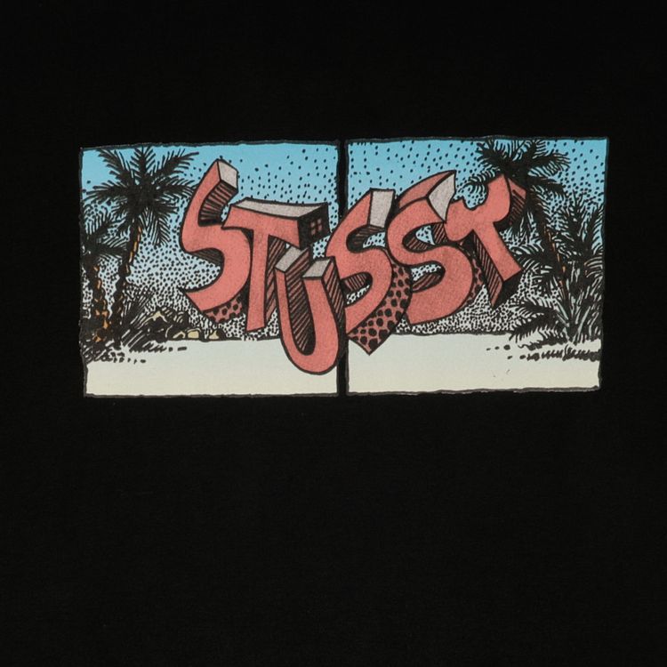 Stussy Stranded Tee Black