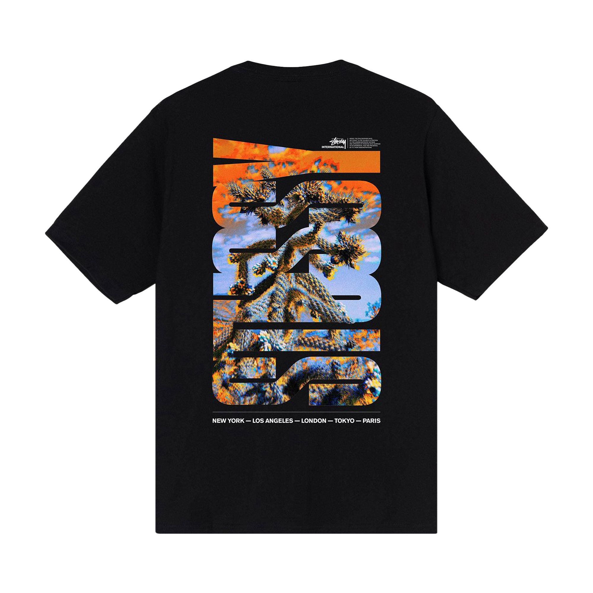 【STUSSY】DESERT SKY TEE Buy Stussy Desert Sky Tee 'Black' - 1904706 BLAC | GOAT CA
