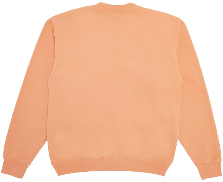 Sporty  Rich Health  Wellness Crew Guava