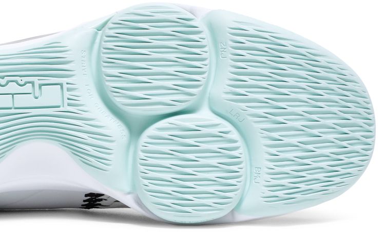 Nike LeBron Witness 5 Pure Platinum Light Dew