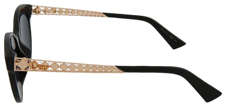 Dior Round Frame Acetate Sunglasses Black