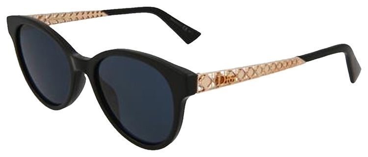 Dior Round Frame Acetate Sunglasses Black
