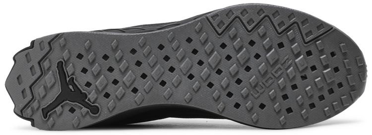 Air Jordan Zoom Trunner Advance Black Cat