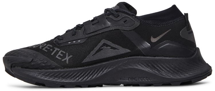 Nike Pegasus Trail 3 GTX Triple Black