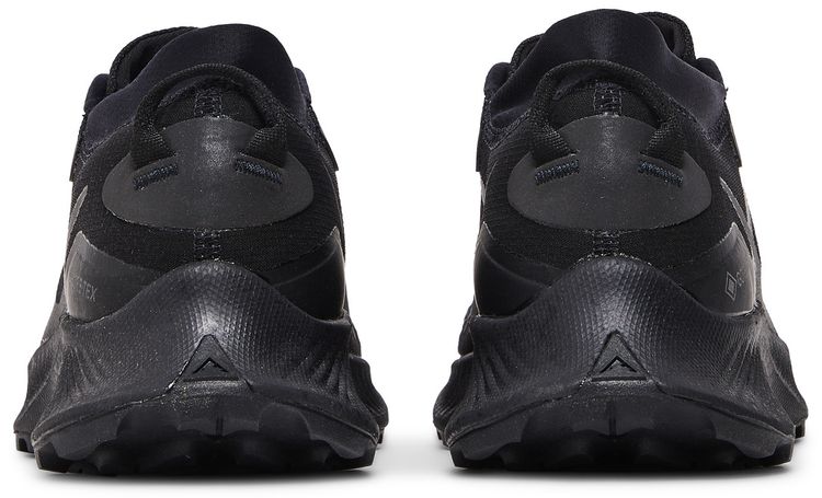 Nike Pegasus Trail 3 GTX Triple Black
