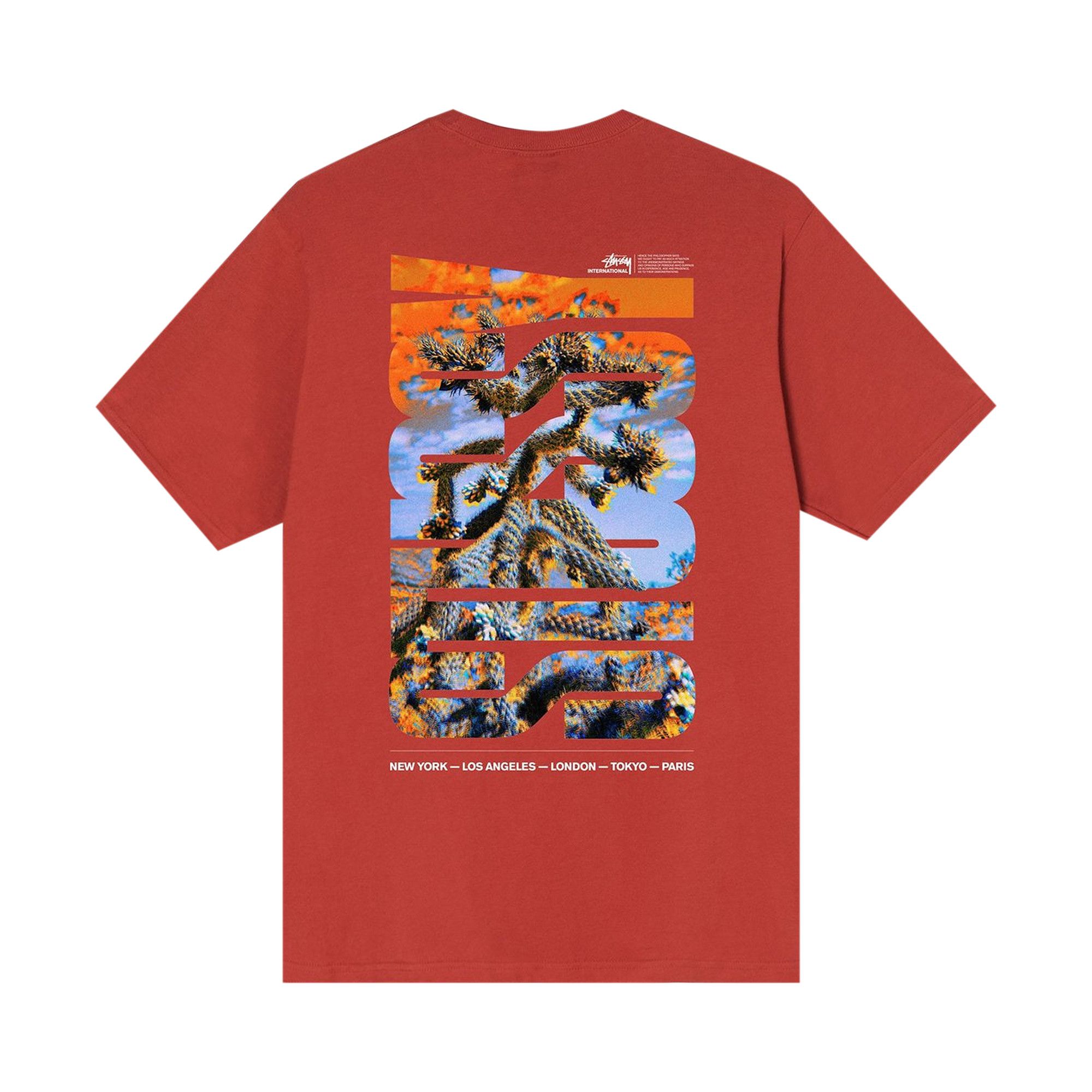 Buy Stussy Desert Sky T-Shirt 'Brick' - 1904706 BRIC | GOAT AU