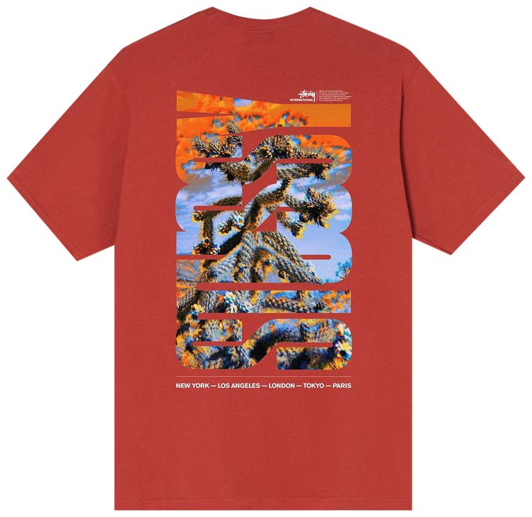 Stussy Desert Sky T Shirt Brick