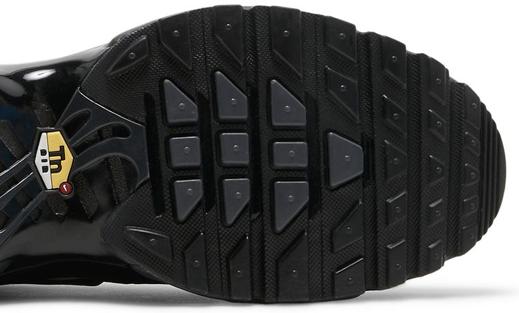 Nike Air Max Plus Triple Black