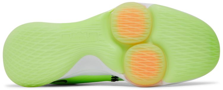 Nike LeBron Witness 5 Grinch