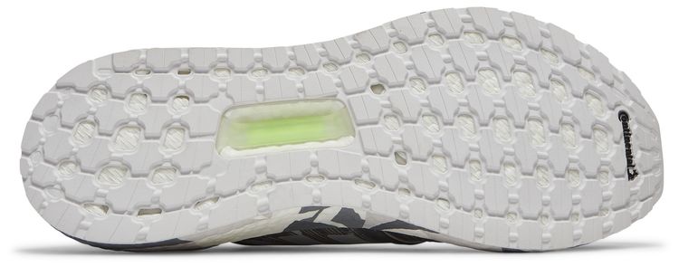 Adidas UltraBoost 20 Monochromatic Graphic   Grey