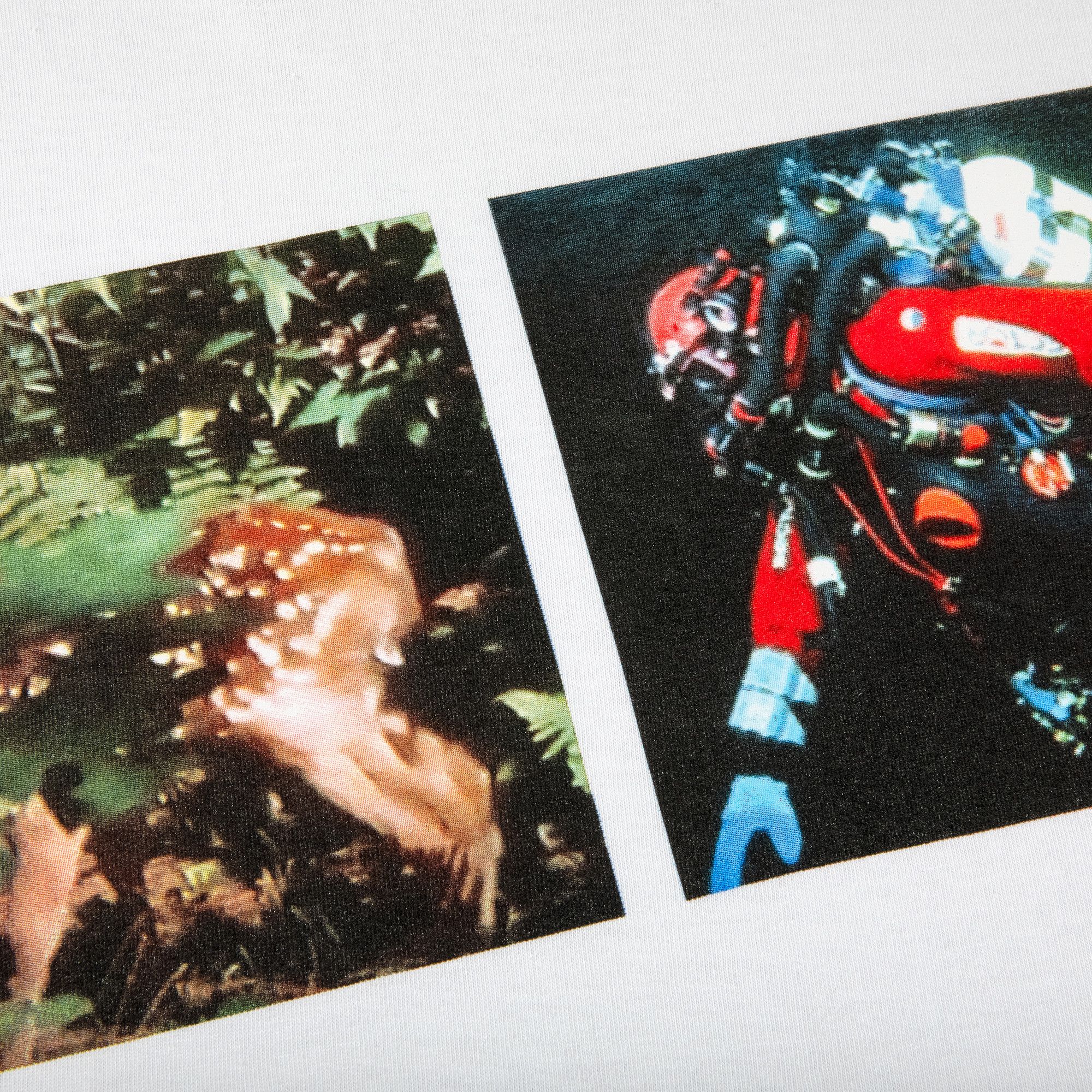 Buy Supreme x Junya Watanabe x Comme des Garçons MAN Nature
