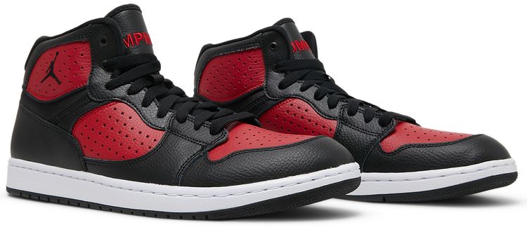 Air Jordan Access Bred