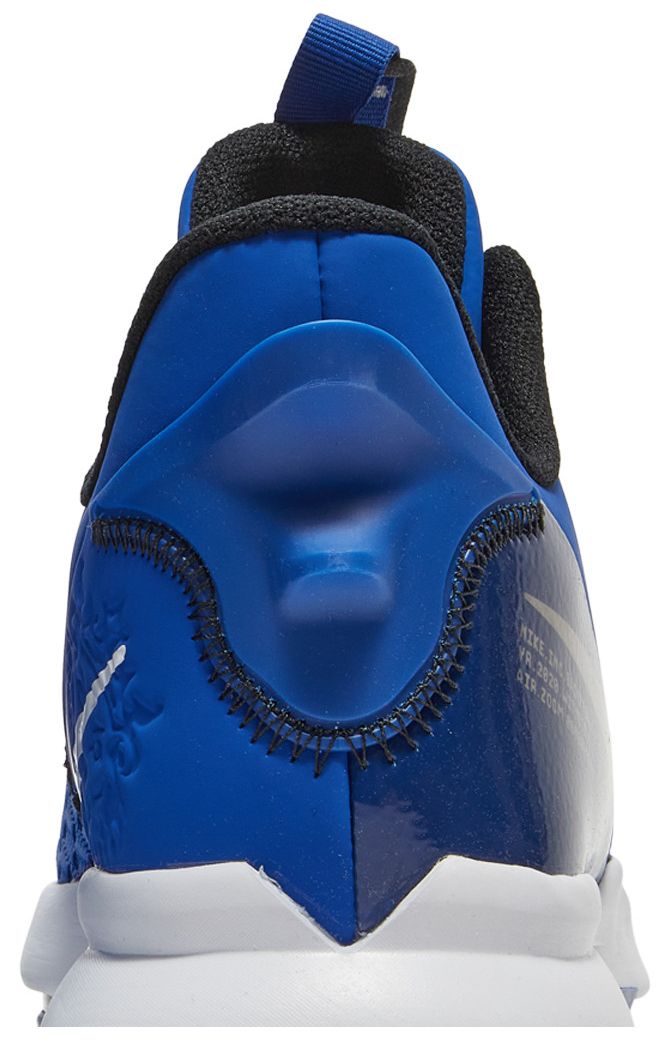Nike LeBron Witness 5 Game Royal