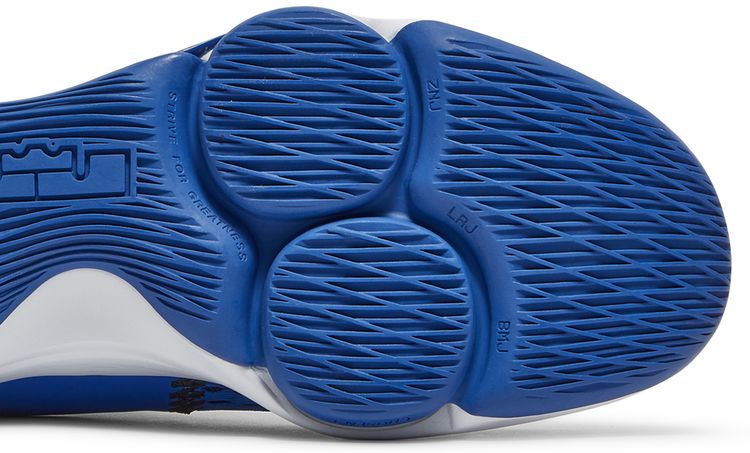 Nike LeBron Witness 5 Game Royal