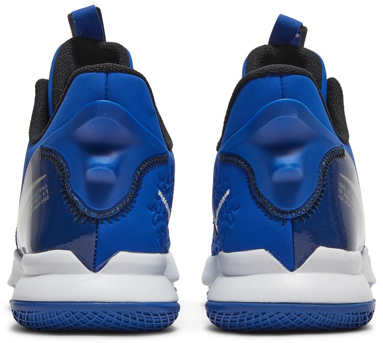 Nike LeBron Witness 5 Game Royal