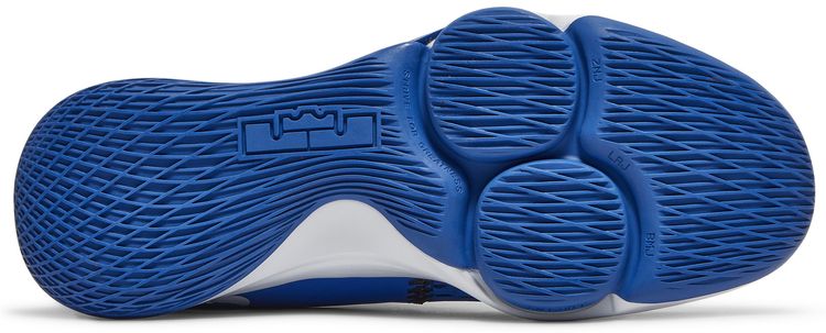 Nike LeBron Witness 5 Game Royal