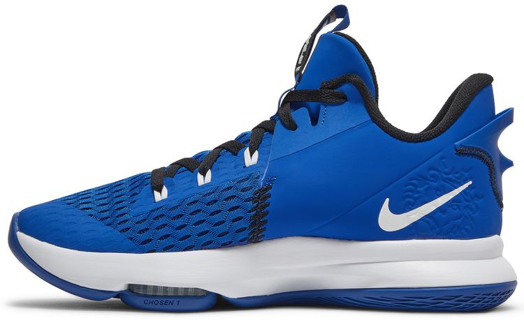 Nike LeBron Witness 5 Game Royal