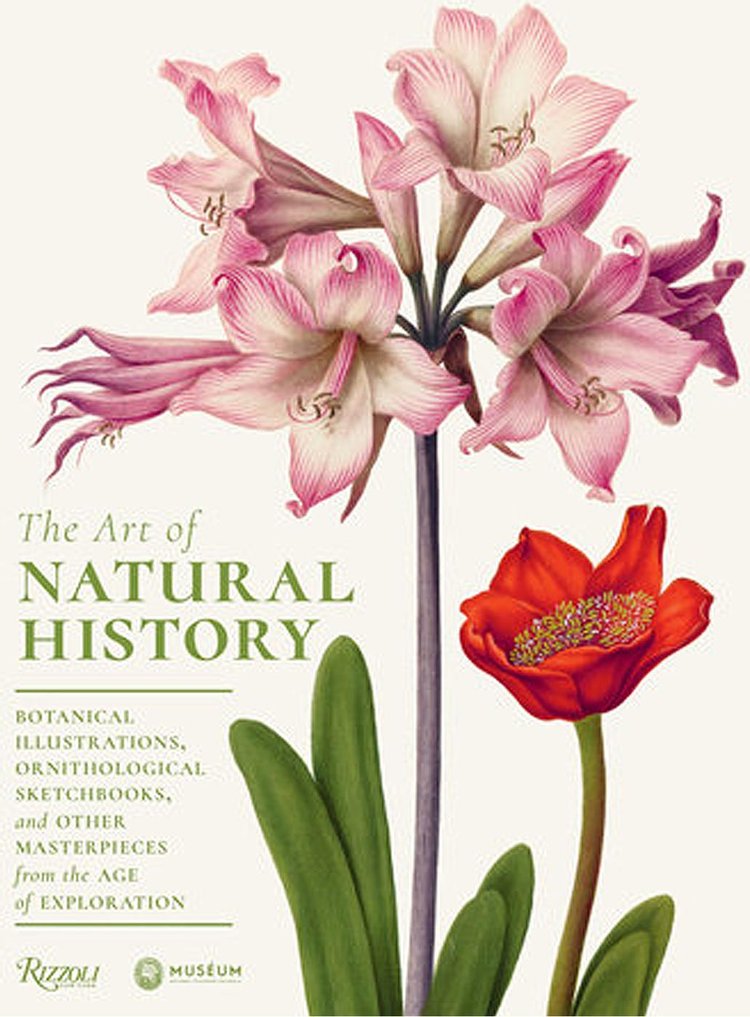 The Art Of Natural History Botanical Illustrations, Ornithological Drawings, And Other Masterpieces From The Age Of Exploration by Pascale Heurtel And Michelle Lenoir