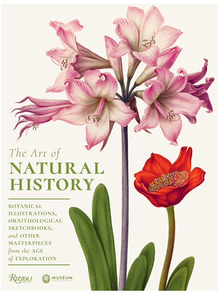 The Art Of Natural History Botanical Illustrations Ornithological Drawings And Other Masterpieces From The Age Of Exploration by Pascale Heurtel And Michelle Lenoir