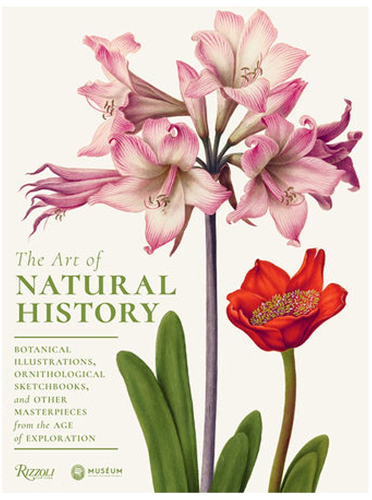 The Art Of Natural History Botanical Illustrations, Ornithological Drawings, And Other Masterpieces From The Age Of Exploration by Pascale Heurtel And Michelle Lenoir