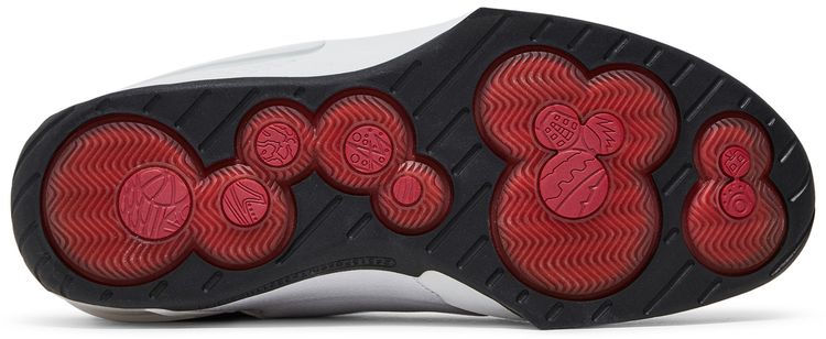 Air Jordan 20 OG Midwest