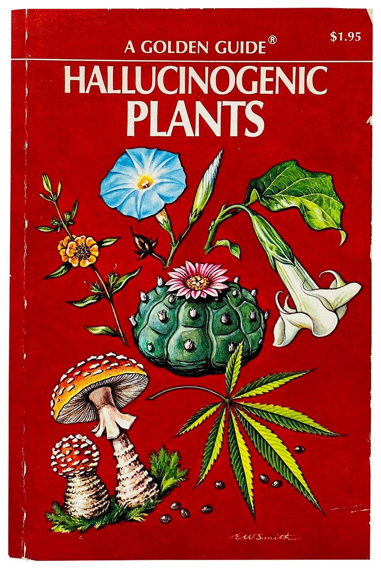 Pre Owned Hallucinogenic Plants by Richard Evans Schultes