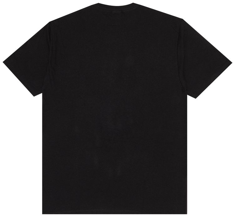 Stussy Hiking Tee Black