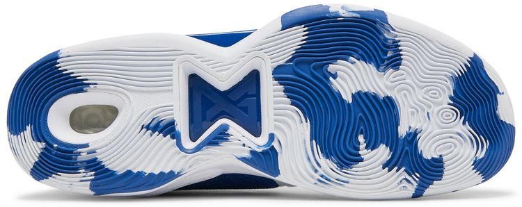 Nike PG 5 TB Game Royal