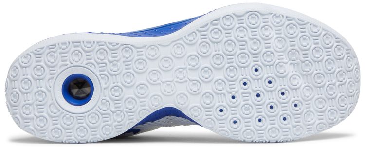 Nike PG 4 TB White Game Royal