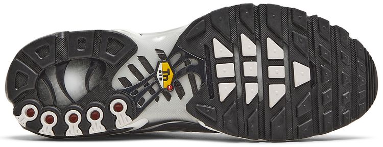 Nike Air Max Plus Shattered Ice   Black