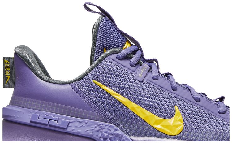 Nike LeBron Ambassador 13 Lakers
