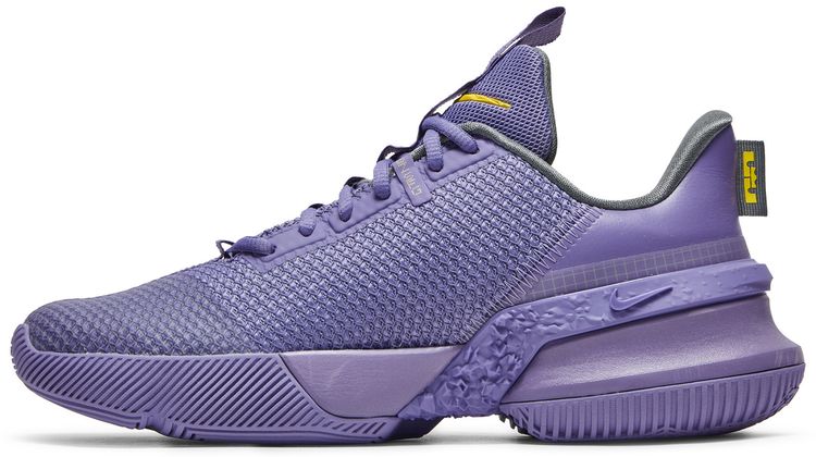 Nike LeBron Ambassador 13 Lakers