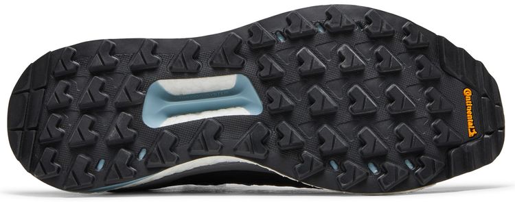 Wmns Terrex Free Hiker Carbon