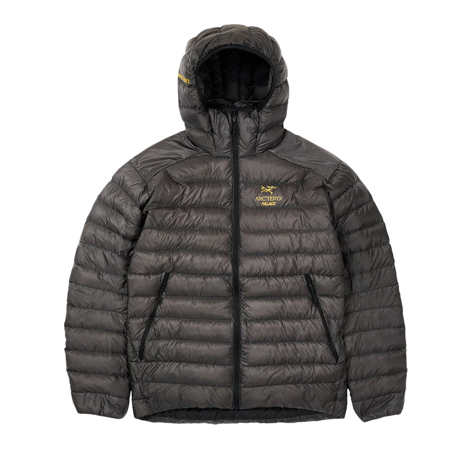 Buy Palace x Arc'Teryx Cerium LT Hoodie 'Grey' - 0789