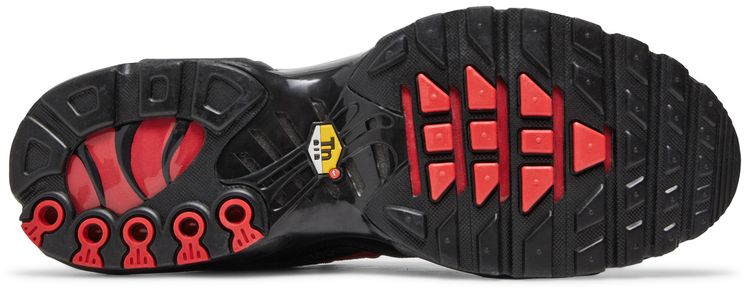 Nike Air Max Plus Bred Metal Mesh