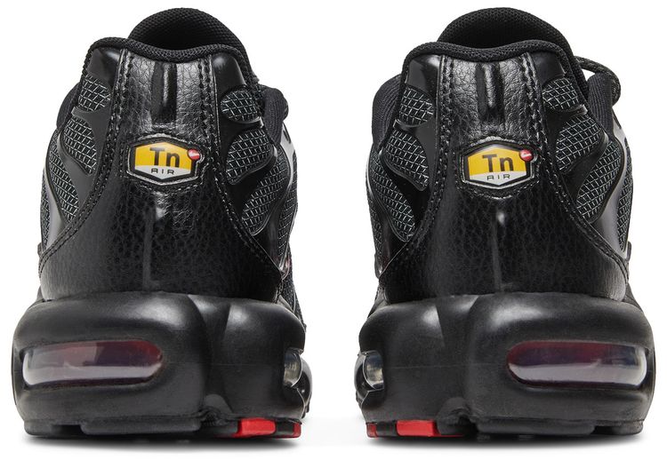 Nike Air Max Plus Bred Metal Mesh