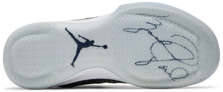 Air Jordan 31 Fine Print