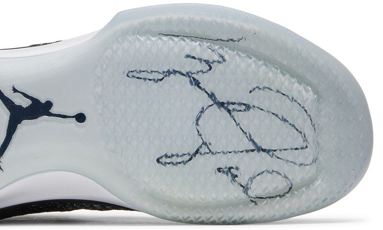 Air Jordan 31 Fine Print