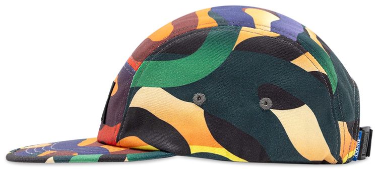 Awake NY Sam Friedman 5 Panel Cap Multicolor