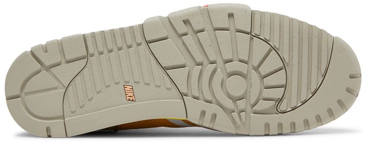 Air Trainer 1 Coriander