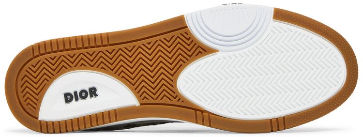 Dior B27 Low Dior Oblique Galaxy   Grey Gum