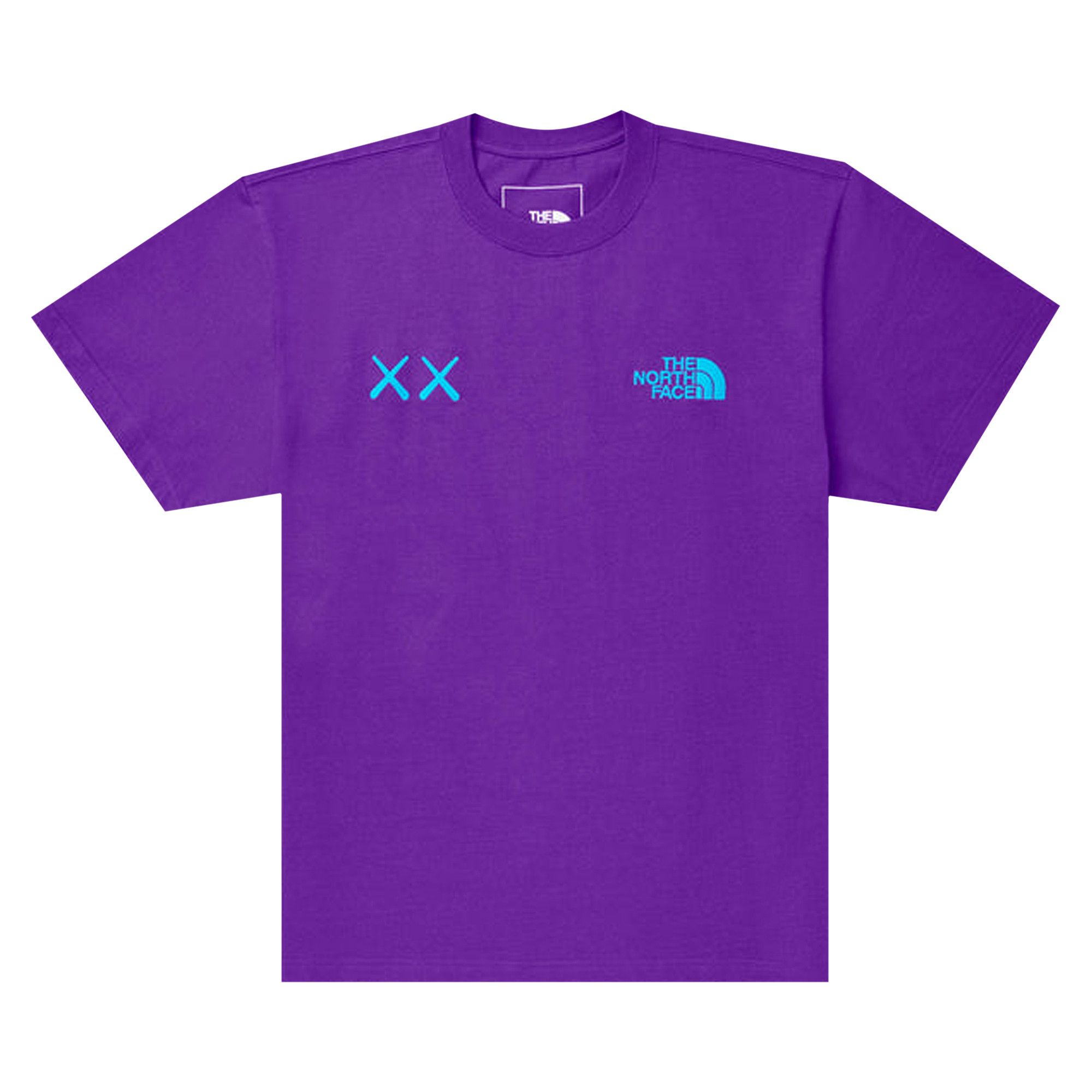 ノース カウズ Tシャツ KAWS x The North Face Tee Light Blue KAWS x The North Face Tee Ice Blue Men's - FW21 - US