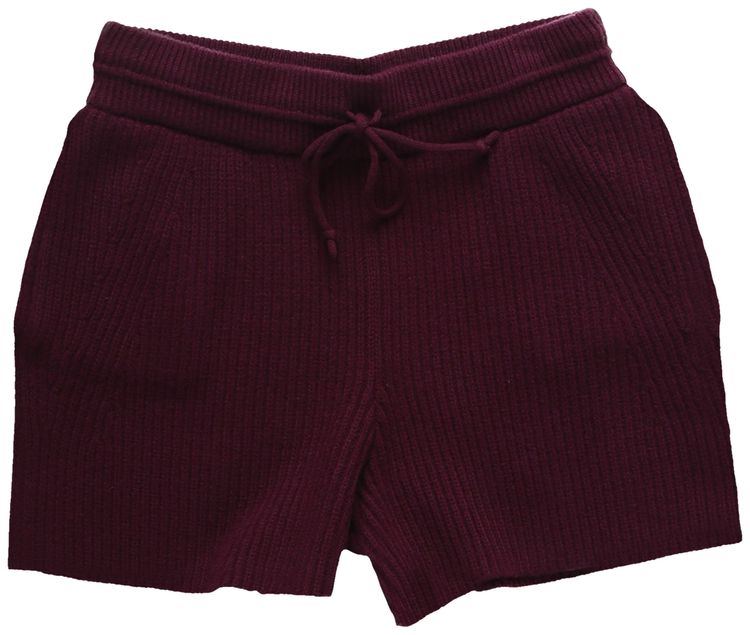 Helmut Lang Transfer Short Wine