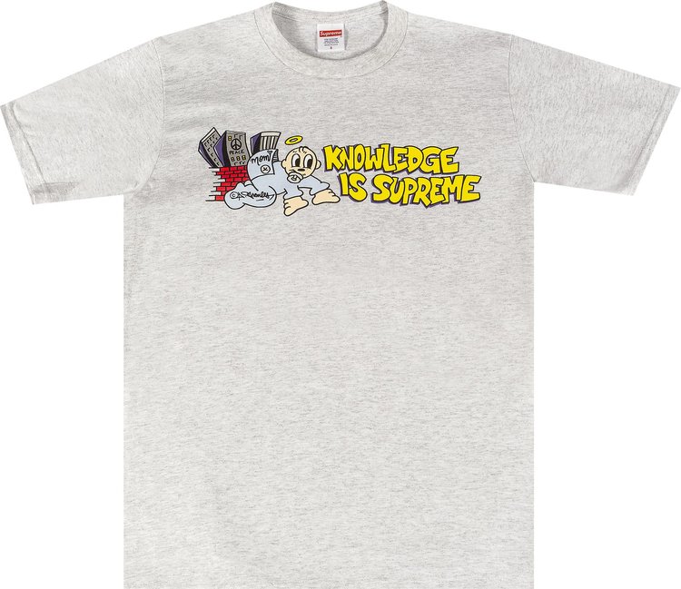 Supreme Knowledge Tee Ash Grey