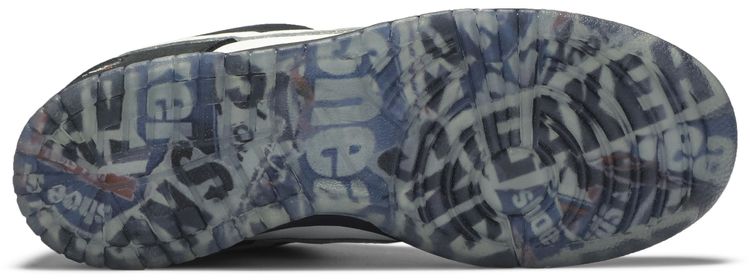 Jeff Staple x Nike Dunk Low Pro SB Panda Pigeon Laser Etched Special Box