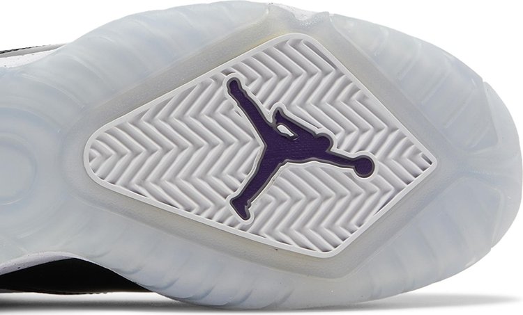 Jordan BLoyal GS White Court Purple