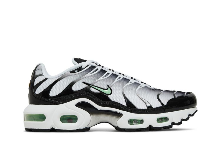 Air Max Plus White/Black/Reflect Silver/Fresh Mint