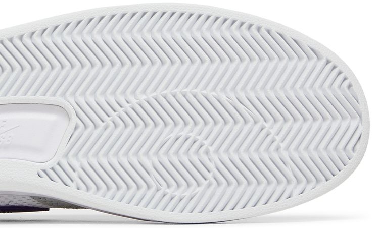 Nike Adversary SB Grey Frog Court Purple