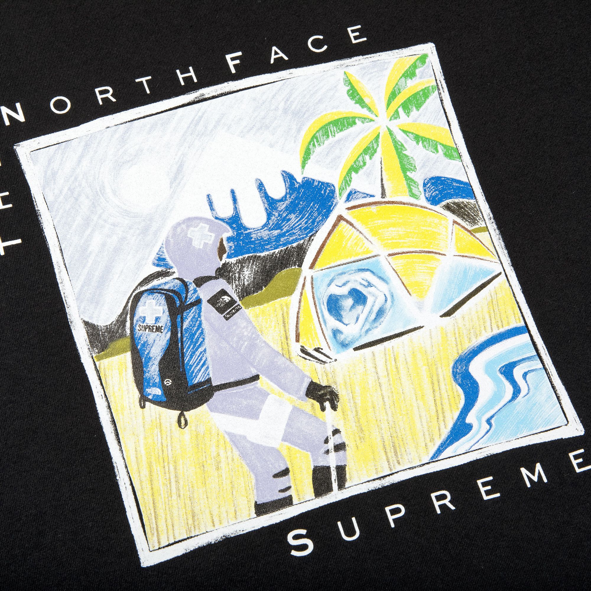 Buy Supreme x The North Face Sketch Short-Sleeve Top 'Black
