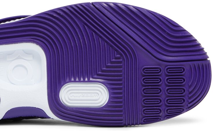 Nike KD 14 TB Court Purple